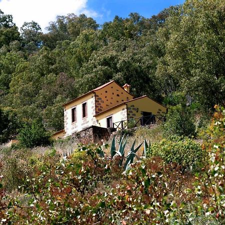 Casa Rural Las Caldereras Teror Extérieur photo