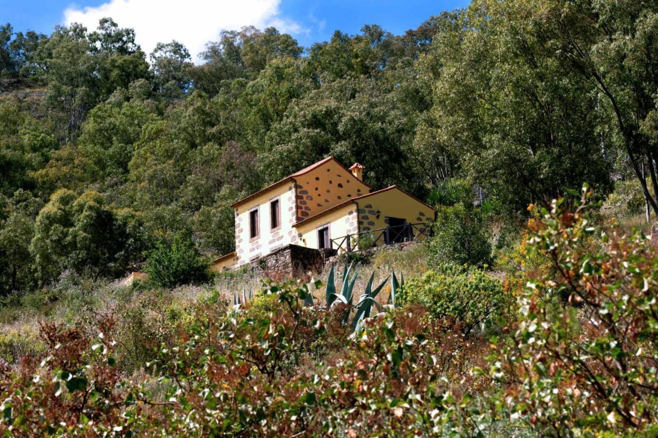 Casa Rural Las Caldereras Teror Extérieur photo