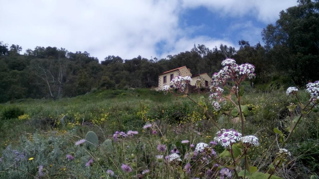 Casa Rural Las Caldereras Teror Extérieur photo